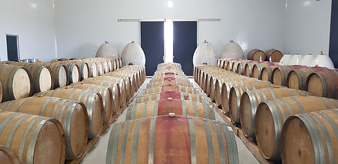 Barrel room.jpeg