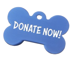 DonateNowBlue-removebg-preview.png
