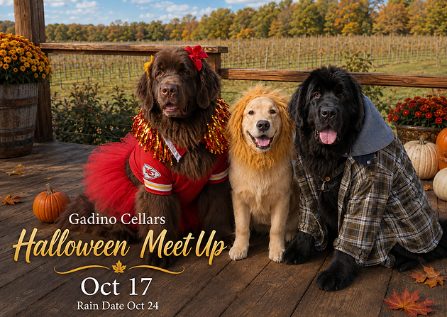 Halloween Meet Up