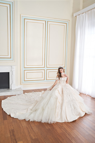 BARIANO花柄ビーズメッシュドレスANASTASIA STRAPLESS BALL GOWN Beaded Off Shoulder Quinceanera Dress by Fiesta Gowns 56490