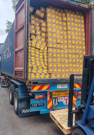 WhatsApp Image 2025-11-17 at 10.34.03 PM.jpeg