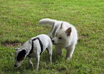 IMG-20250614-WA0002.jpg