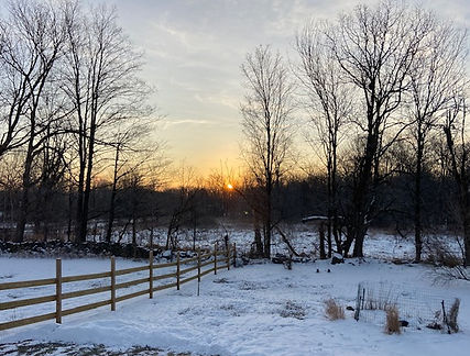 winter sunrise_edited.jpg