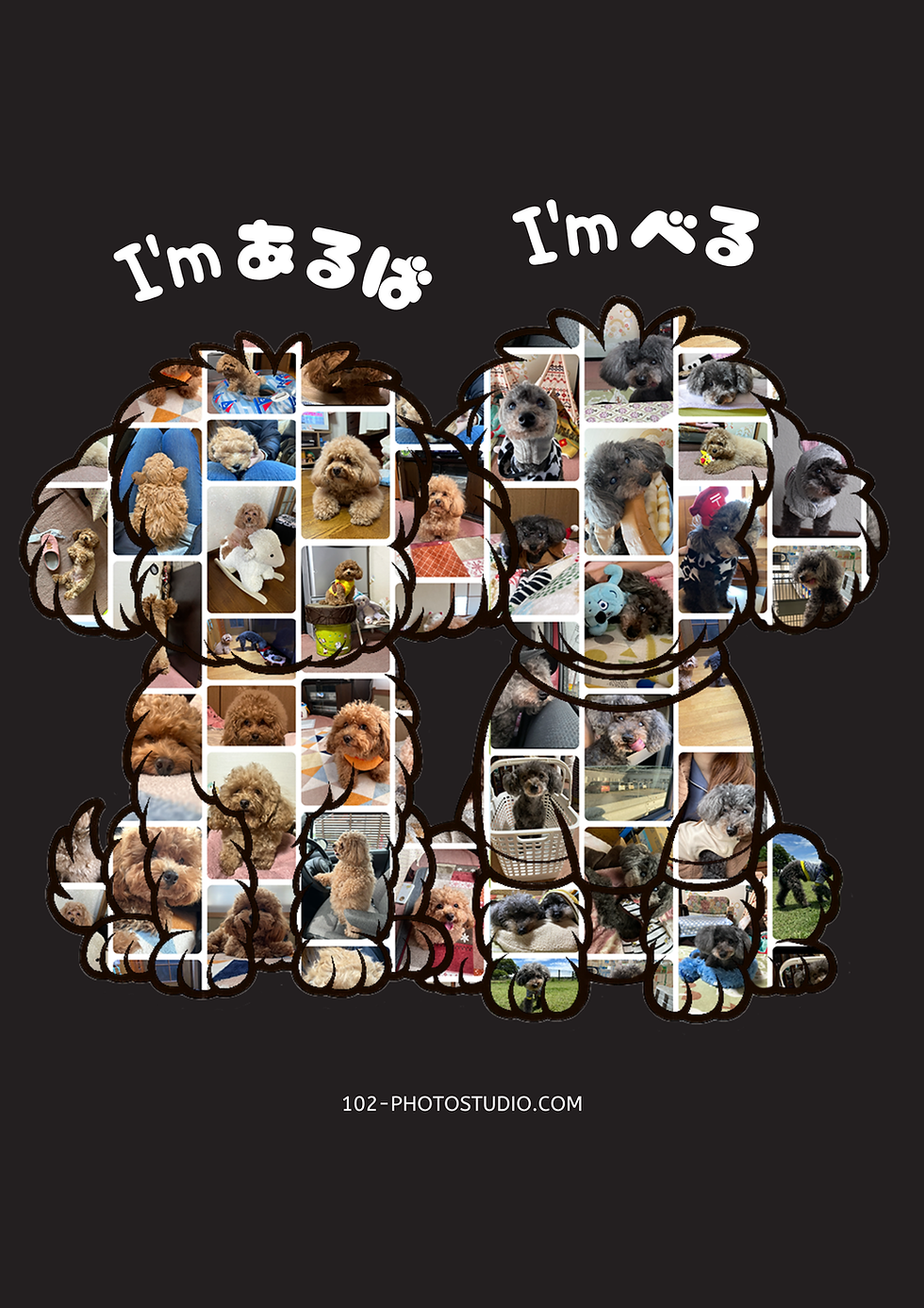 サムネイル： 愛犬メモリーズ T-shirts