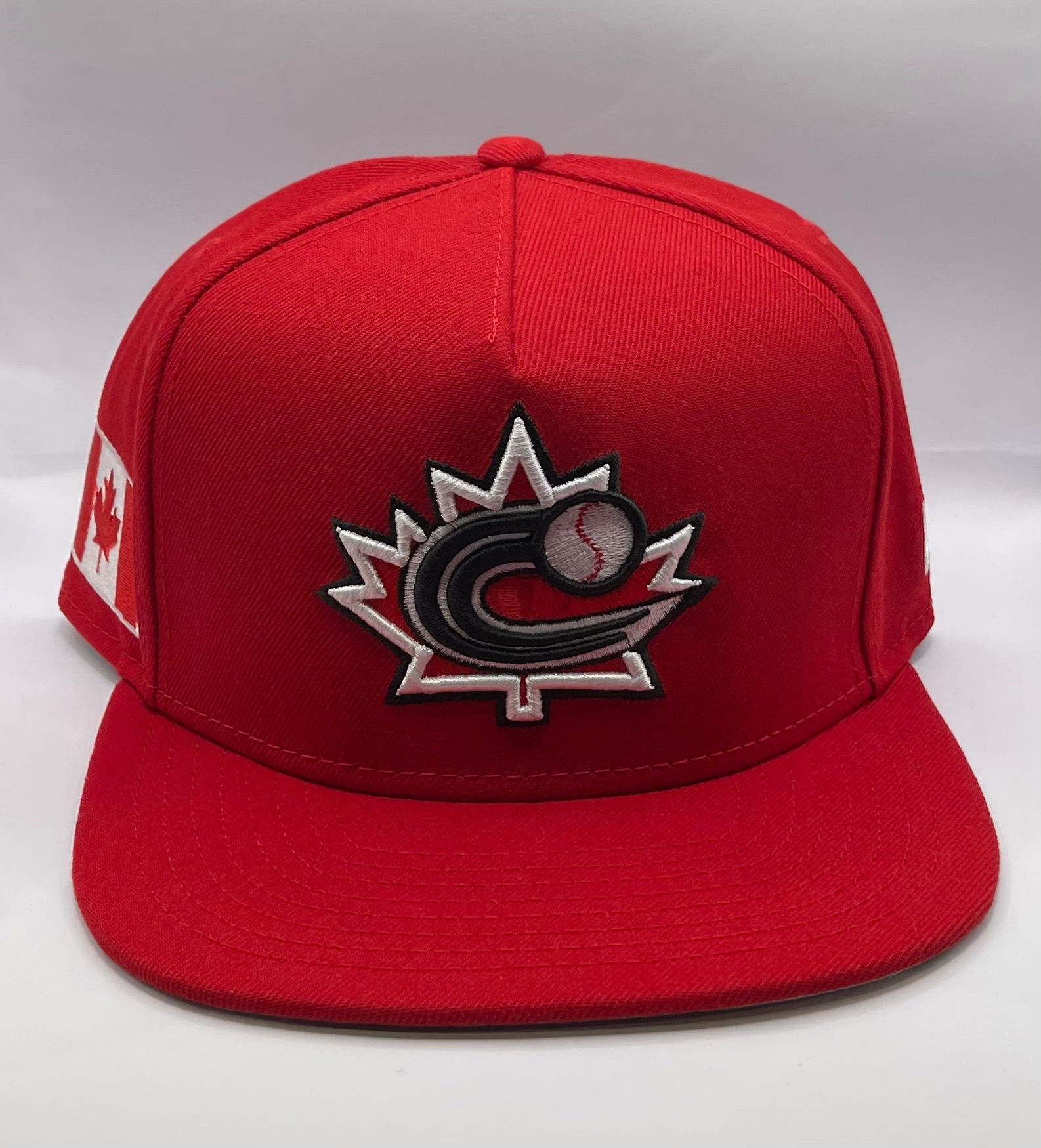 Team Canada World Baseball Classic A-Frame
