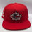 Thumbnail: Team Canada World Baseball Classic A-Frame
