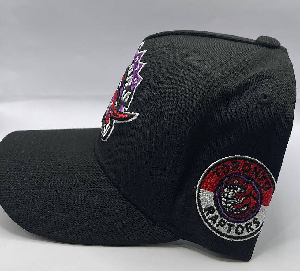 Thumbnail: Toronto Raptors Multi-Logo'd Mitchell & Ness A-Frame