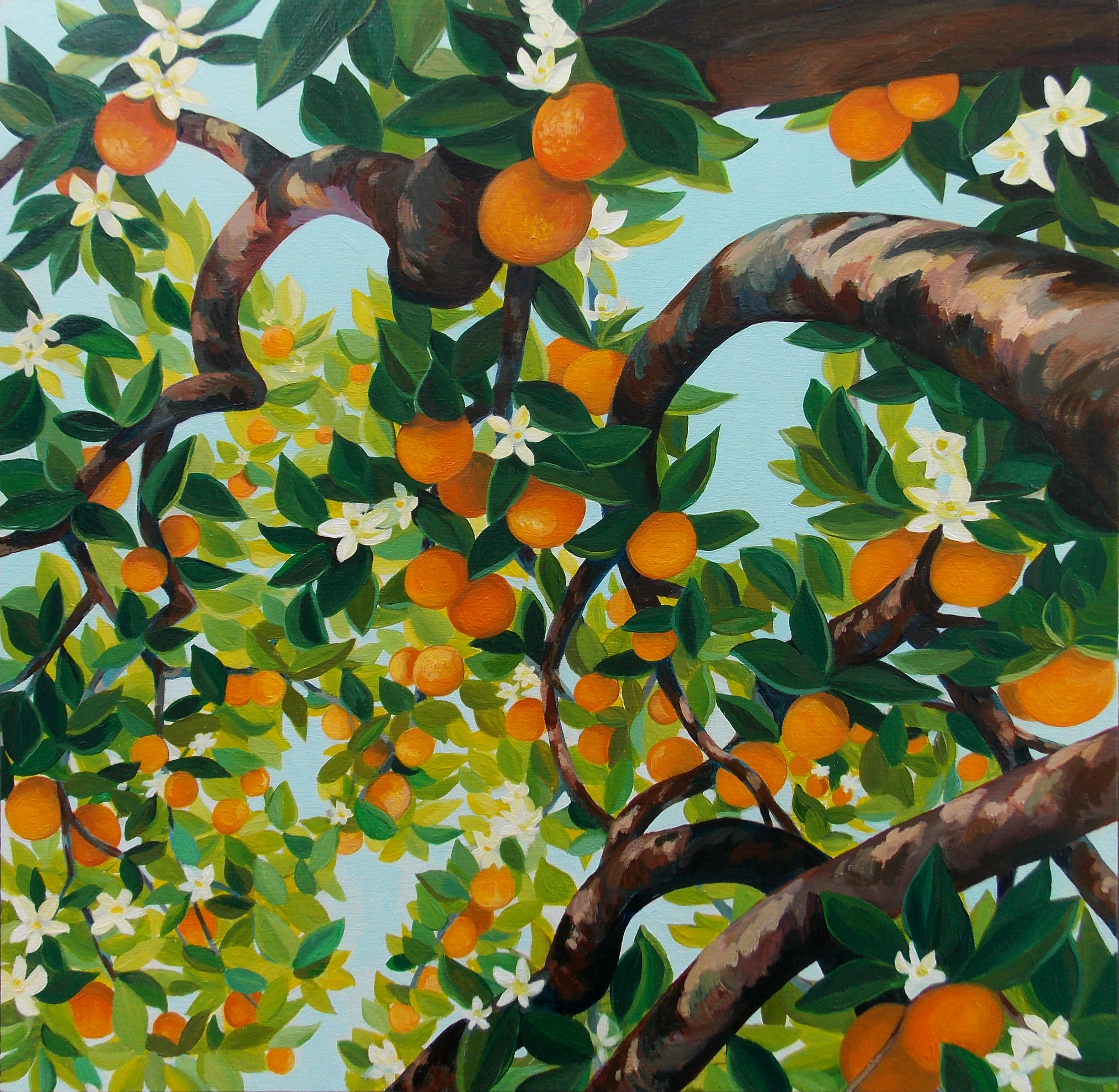 Abundance Canopy