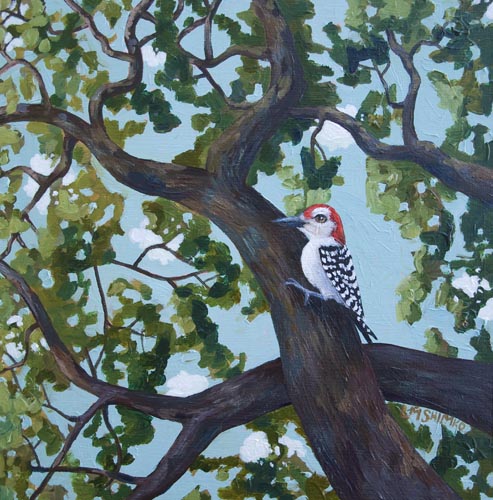 Woodpecker Canopy