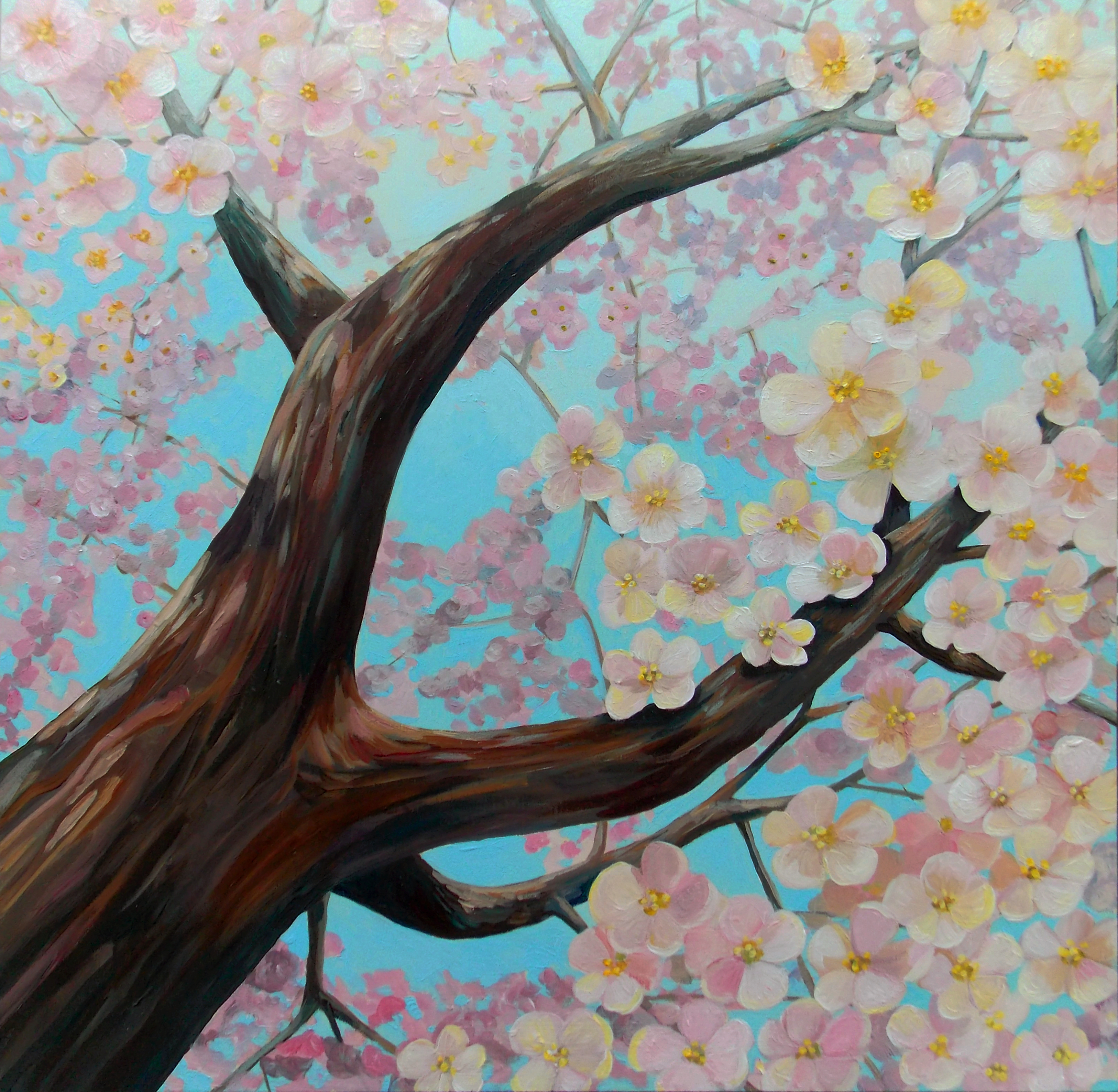 Spring Canopy X
