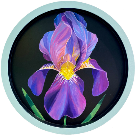 Iris painting by Lisa Shimko. Original art to collect.