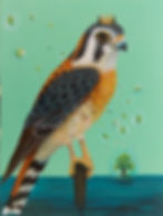Kestrel King