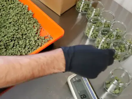 Should marijuana be rescheduled?