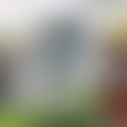 An image of a surveyor in front of a home, used in the blog Why Are Property Surveys Important in Real Estate Transactions? to explain the value of surveys.