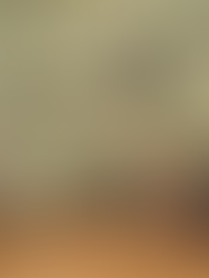 children's wallpaper with jungle pattern