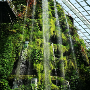 Biophilic Design: Bringing Nature Indoors