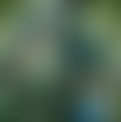 analogous colour scheme