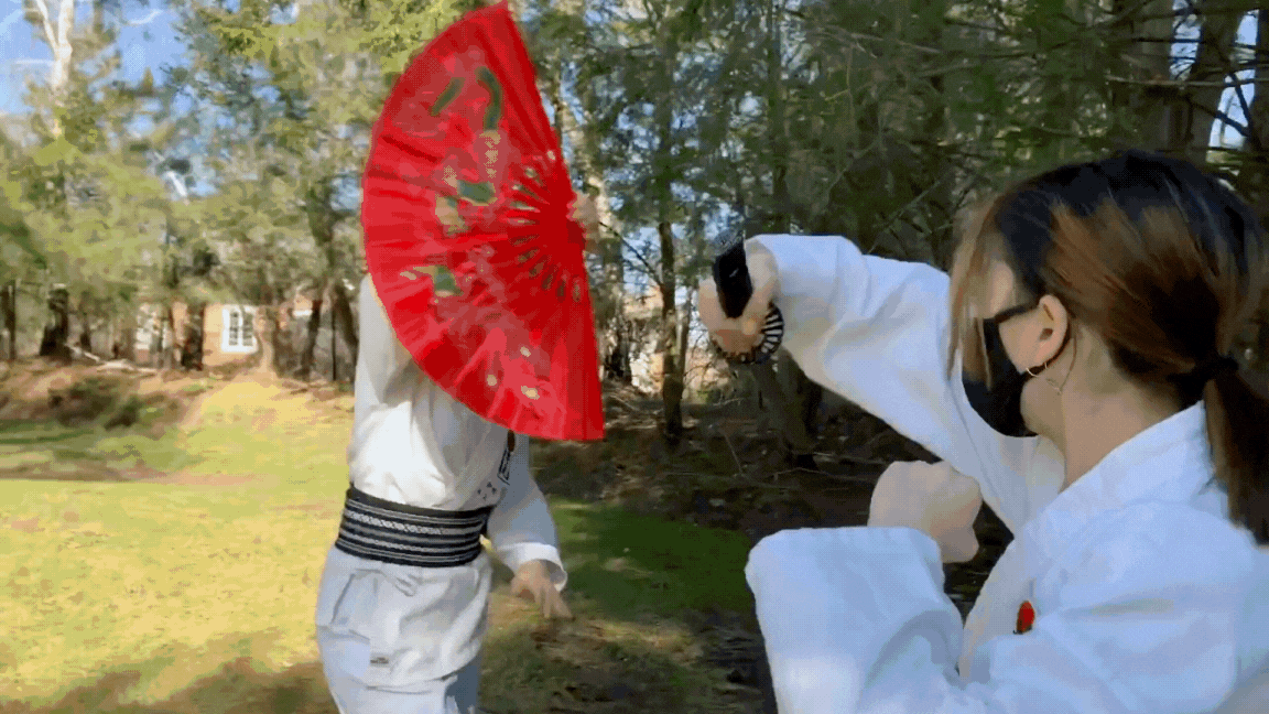 Fan vs short sword fight