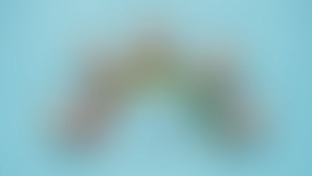 Is U-PACK Cheaper Than Movers?