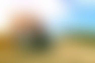 Cross Country Movers