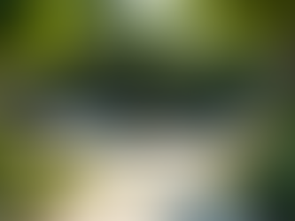 Professional Landscape Design Tips for Ottawa Homes