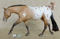 Chief Glamour Shot 13.jpeg