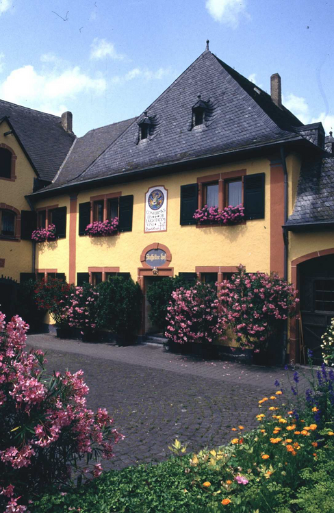 Weingut Staffelter Hof