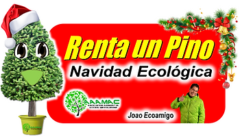 Captura de pantalla 2025-10-18 110231.png