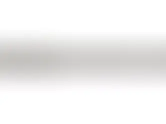 Raman Immersion Probe