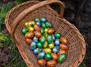 egg basket.jpg