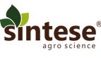 logo sintese-2-01.png