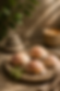 ChatGPT Image Jun 16, 2026, 07_15_31 PM.png
