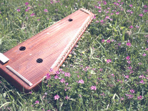 Sursangh（スールサング）の紹介