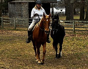 RandNponying.jpeg