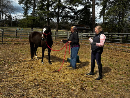 March VEWS Volunteer Education Event