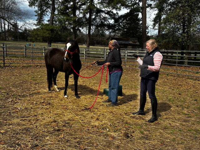 March VEWS Volunteer Education Event