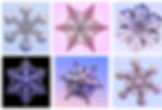 Lab grown snowflakes