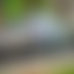 CAR CLUB DAY - EVENT DETAILS ANNOUNCED