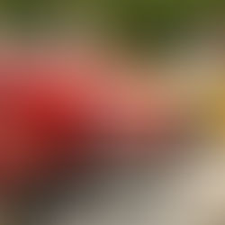 Inaugural Prescott Italia announces all new Concours Event