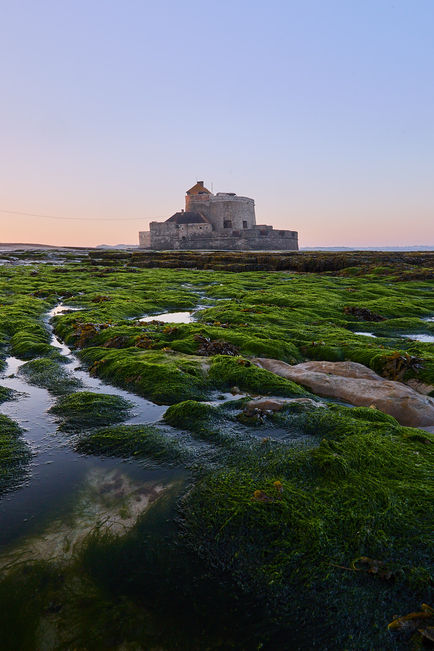 Opaalkust, Frankrijk, kust, strand, water, zand, zonsopkomst, kleur
