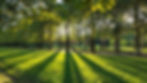 Parc de Sceaux - Association ReliNous