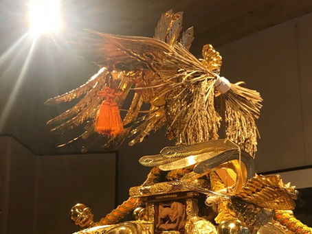 人と杜ときわプロジェクト〜わっしょい！プロジェクト〜