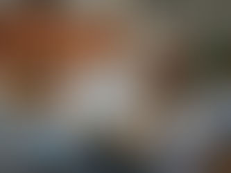 神幸祭に関する記事が掲載されました！