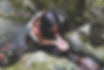 4345F2E7-4B94-4461-90CC-FDFF75A9CF76_1_105_c.jpeg