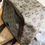 Thumbnail: MCM Coated Canvas Tote
