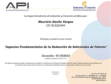 diploma sobre curso de aspectos fundamentales para la redacción de patentes