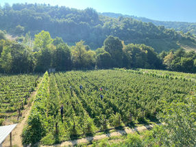 WhatsApp Image 2022-10-16 at 15.46.34.jpeg