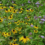 Top Gardening and Landscaping Company with great reviews, now serving Middlesex County CT, New London County CT, South County RI, and Newport County RI.