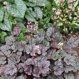 Choose this top rated & Master Gardening plus Landscaping Co serving Middlesex County CT, New London County CT, South County RI, and Newport County RI