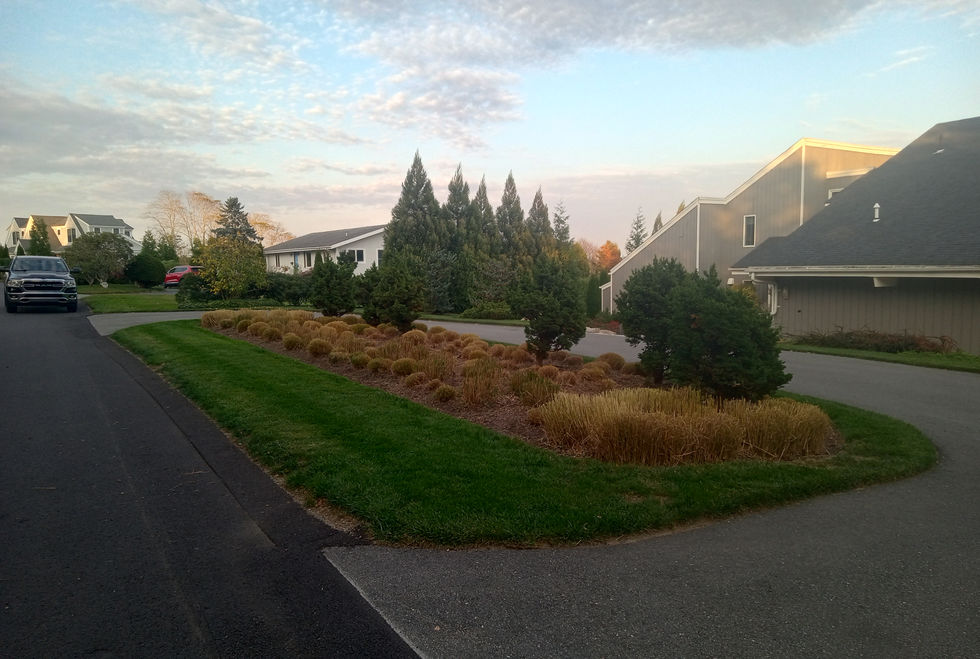 Fall cleanup with an artistic eye.